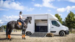 2017 Opel Movano Lamar Horsebox
